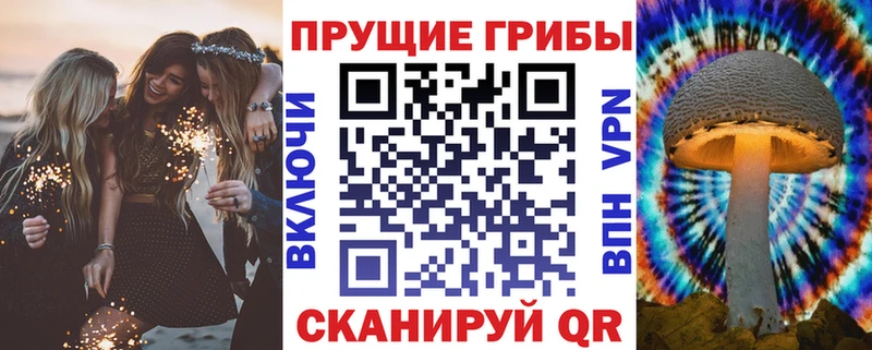 Галлюциногенные грибы MAGIC MUSHROOMS  Новокузнецк 