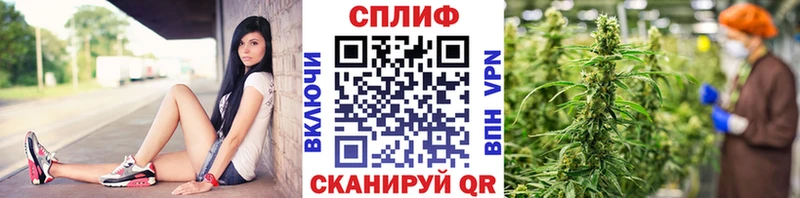 OMG зеркало  Новокузнецк  Марихуана план  закладки 